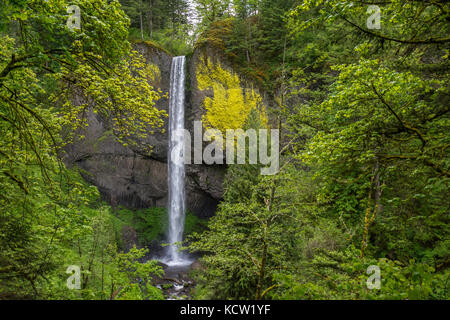 Latourell Falls ist ein Wasserfall entlang der Columbia River Gorge in Oregon, im Guy W. Talbot State Park. Der historische Columbia River Highway verläuft in der Nähe, und an bestimmten Orten sind die Lower Falls von der Straße aus sichtbar. Stockfoto