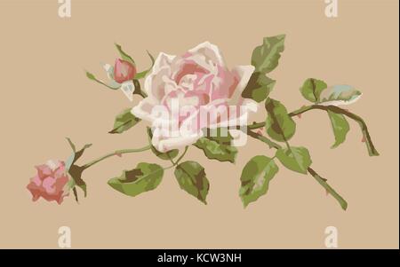 Zart rosa Rose und die Knospen auf einem beigen Hintergrund. Ansichtskarte. alt Aquarell. traditionelle Stickerei. Vector Illustration Stock Vektor