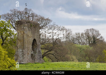 Knepp Schloss bleibt am Shipley aus Die 264 durch Pass von worthing. In 1125 gebaut von Robert de Harcourt Le Fort (die Starke) Als defensive Schloss. Stockfoto