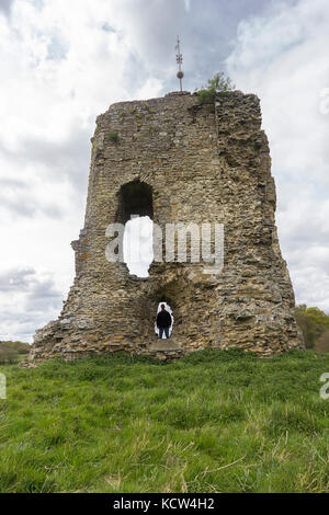 Knepp Schloss bleibt am Shipley aus Die 264 durch Pass von worthing. In 1125 gebaut von Robert de Harcourt Le Fort (die Starke) Als defensive Schloss. Stockfoto