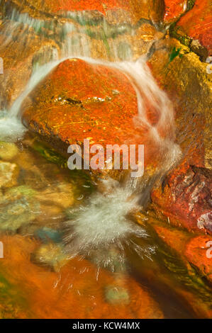 Red Rock Creek und Detail der Red Rock Canyon, Waterton Lakes National Park, Alberta, Kanada Stockfoto