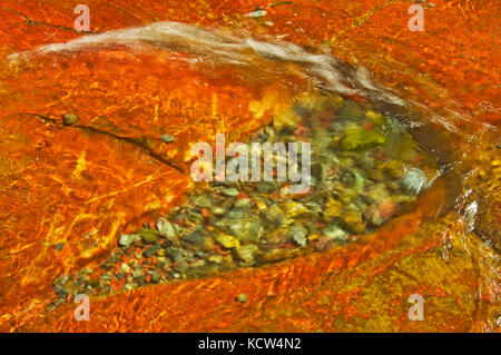 Red Rock Creek und Detail der Red Rock Canyon, Waterton Lakes National Park, Alberta, Kanada Stockfoto