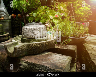 Alte Mühlstein haben grüne Flechten um und Alten Mühlstein auf alten hölzernen Brettern. Hinter dem Rücken grüne Bäume. Stockfoto