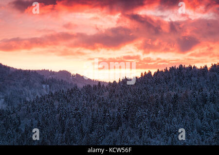 Die traumhafte Landschaft mit Wald, in den Bergen. Die atemberaubende Landschaft mit rötlicher Sonnenaufgang Himmel über dem Tal in der Dämmerung im Winter Stockfoto