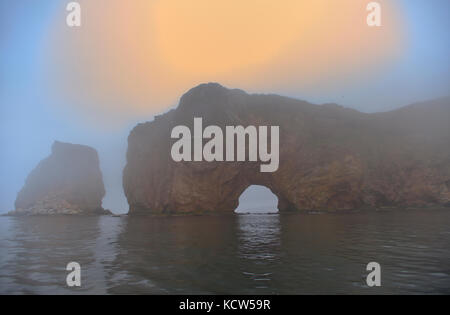 Roche perce und Atlantik Sünde Nebel bei Sonnenaufgang auf gaspe Halbinsel, Perce, Quebec, Kanada Stockfoto