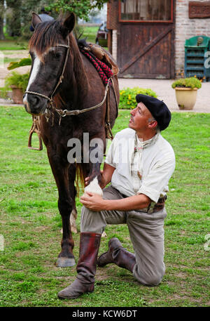 Indische Pferd Dressur (Pferd Yoga) mit Gaucho in der Estancia nr. Buenos Aires, Argentinien Stockfoto