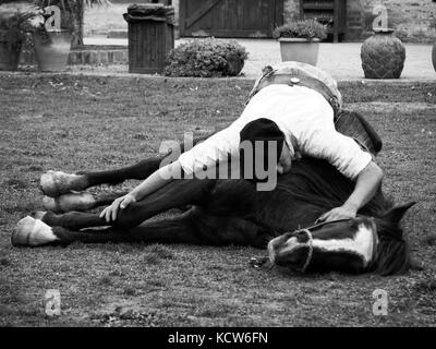 Indische Pferd Dressur (Pferd Yoga) mit Gaucho in der Estancia nr. Buenos Aires, Argentinien Stockfoto