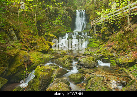 Diskson fällt, Bucht von Fundy National Park, New Brunswick, Kanada Stockfoto