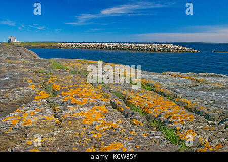 Felsige Landschaft am Atlantik, blaue Steine, Nova Scotia, Kanada Stockfoto