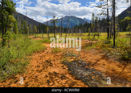 Farbtöpfe. Die kanadischen Rocky Mountains, Kootenay National Park, British Columbia, Kanada Stockfoto