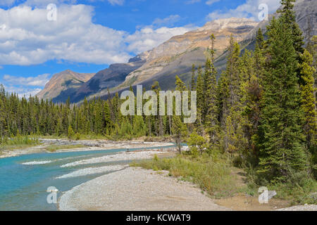 Vermillion River und den kanadischen Rocky Mountains, Kootenay National Park, British Columbia, Kanada Stockfoto