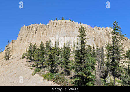 Hoodoos in Badlands. Niederländische creek Hoodoos. In der Nähe von Fairmont hot Springs, British Columbia, Kanada Stockfoto