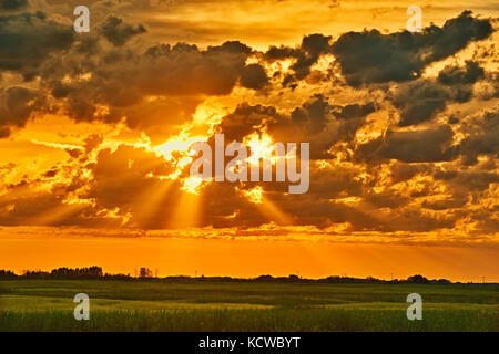 Wolken bei Sonnenaufgang über der kanadischen Prärie, in der Nähe von yorkton, Saskatchewan, Kanada Stockfoto