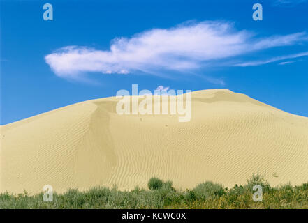 Cloud und Sand dune, Great Sand Hills in der Nähe von Leader, Saskatchewan, Kanada Stockfoto