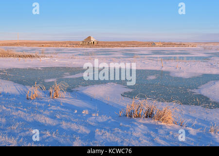 Erstes Licht auf der Wiese, in der Nähe von Regina, Saskatchewan, Kanada Stockfoto