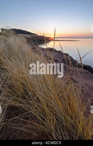 Reis, Küste, Felsen, Sandstein, Sunrise, fallen, Herbst, Prince Edward Island, Kanada Stockfoto