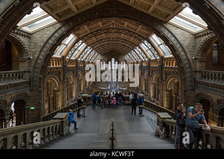 London - September 2017; Besucher in die Haupthalle mit der blauwal Skelett im Natural History Museum. Stockfoto