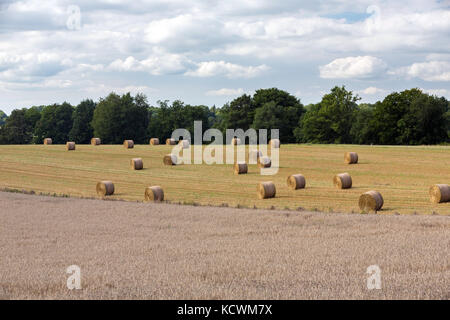 LIMOUSIN, Frankreich - Juli 5, 2017: Ackerland mit Weizenfeldern im Vordergrund und frisch geerntete Heu im Hintergrund. Stockfoto