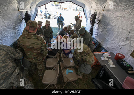 Us-Soldaten der 251. Der Area Support Medical Unternehmen, South Carolina Army National Guard zugeordnet, beginnen Ihre ersten simulierten Patienten, die in einer gemeinsamen Übung am Lager fretterd, reisterstown, Maryland, 8. März 2017. Das 251 zusammen mit der 231St Chemieunternehmen von der Maryland Army National Guard in der US-Armee nach Norden Validierung Übung, in der Sie die Einrichtung einer vollen medizinischen Bereich und Abschluss der Fehleranalyse an den Unfall Sammelstelle beteiligt sind. (Us Air National Guard Foto von Tech. Sgt. Jorge intriago) Stockfoto