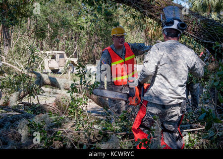 U.s. Army Staff Sgt. David Roberts mit den 125 multi-Rolle bridge Company (mrbc), für den s.c. Army National Guard, kommuniziert mit Sgt. matthew Jerome, wie er verwendet eine Motorsäge umgefallene Bäume entlang der US-Highway 278 in Hilton Head Island zu entfernen, Oct. 9, 2016. Hurrikan matthew Höhepunkt als Kategorie 4 Hurrikan in der Karibik und ging über den Südosten der USA, einschließlich der s.c. Küste. ca. 2.800 s.c. National Guard Soldaten und Piloten haben seit Oktober aktiviert wurde. 4, 2016, Zustand und County Emergency Management Agenturen und lokalen Ersthelfer zu unterstützen, nachdem Gouverneur nikk Stockfoto
