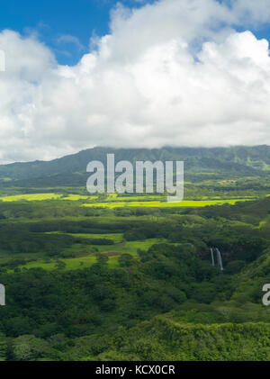 Luftaufnahme von Wailua Wasserfälle, Kauai, an einem bewölkten Tag Hawaii. Stockfoto