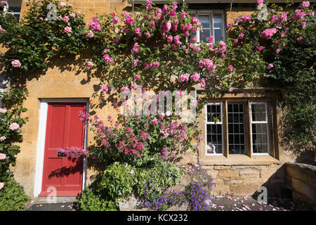 Rose abgedeckt Front von Cotswold Cottage entlang der High Street, Blockley, Cotswolds, Gloucestershire, England, Vereinigtes Königreich, Europa Stockfoto