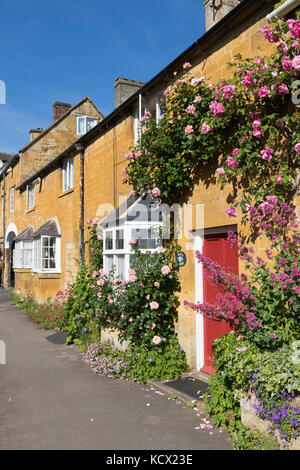 Rose abgedeckt Front von Cotswold Stone Cottages entlang der High Street, Blockley, Cotswolds, Gloucestershire, England, Vereinigtes Königreich, Europa Stockfoto