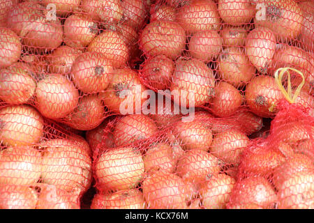 Die vertikale rote stehende String Beutel der helle gelbe Zwiebeln für Verkauf, Stockfoto