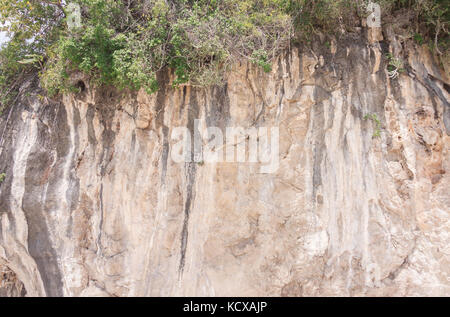 Nahaufnahme, Felswand. Stockfoto