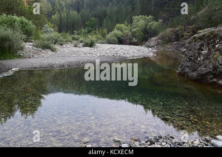 Aoos Fluss und Wald in der Nähe von vovousa Vilage, Valia Calda Nationalpark, Griechenland Stockfoto