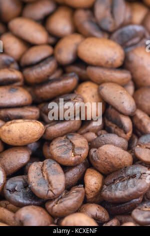 Geröstete Kaffeebohnen extreme Close-up, selektiver Fokus Stockfoto