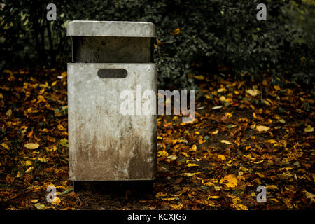 Abfalleimer Mülleimer im Herbst mit Blättern Stockfoto