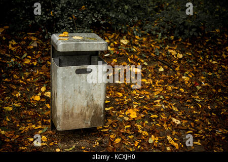 Abfalleimer Mülleimer im Herbst mit Blättern Stockfoto