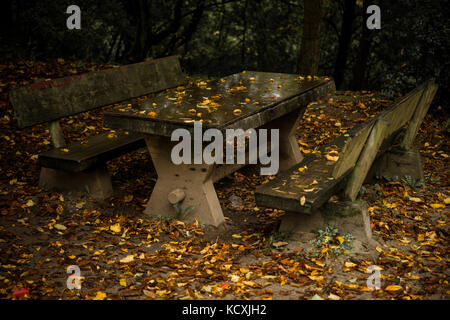 Bank und Tisch im Herbst verlassen Stockfoto