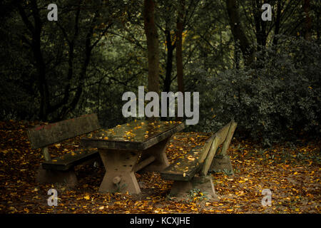 Bank und Tisch im Herbst verlassen Stockfoto