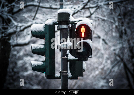 Fußgänger-Ampel an der Ampel rot in Deutschland Stockfoto