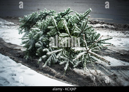 Alte Weihnachtsbaum entfernt auf der Straße im Winter Schnee geworfen Stockfoto