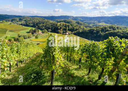 Berühmte herzförmige Weinstraße in Slowenien im Herbst, Herz form-herzerl Straße, Weinberge im Herbst, spicnik Stockfoto