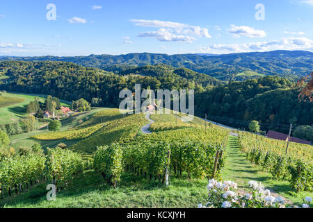 Berühmte herzförmige Weinstraße in Slowenien im Herbst, Herz form-herzerl Straße, Weinberge im Herbst, spicnik Stockfoto