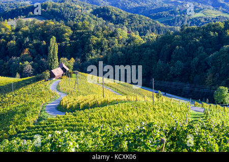 Berühmte herzförmige Weinstraße in Slowenien im Herbst, Herz form-herzerl Straße, Weinberge im Herbst, spicnik Stockfoto