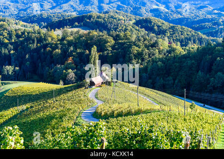 Berühmte herzförmige Weinstraße in Slowenien im Herbst, Herz form-herzerl Straße, Weinberge im Herbst, spicnik Stockfoto