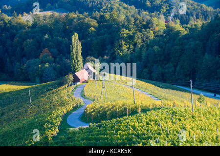 Berühmte herzförmige Weinstraße in Slowenien im Herbst, Herz form-herzerl Straße, Weinberge im Herbst, spicnik Stockfoto
