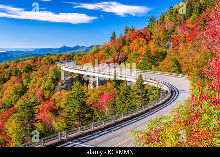 Linn, Bucht, Viadukt, Grandfather Mountain, North Carolina, USA. Stockfoto