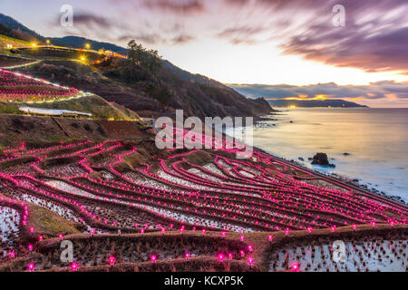 Wajima, Japan in der shiroyone senmaida Reisterrassen Nacht leuchten. Stockfoto