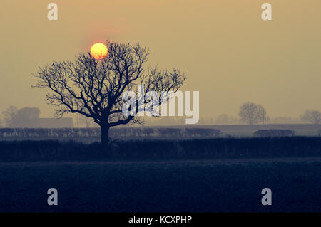 Herbstsonne Stockfoto