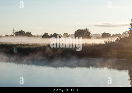 Nebel Wiese in der Nähe des Sees. Verträumt Überlegungen zu einer Teiche Oberfläche. Stockfoto