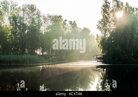 Sonnenstrahlen trog Birke Filialen. Reflexionen auf der Oberfläche. Kleiner Hafen. Stockfoto