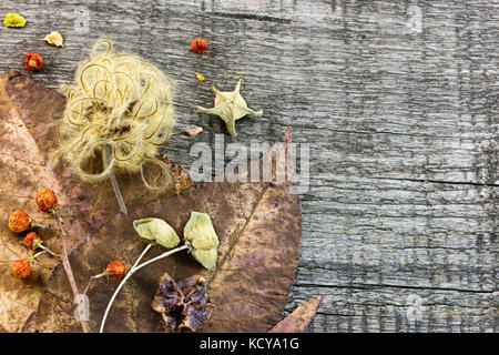 Trockene Blumen und Blüten, Muttern und verdorrte Herbstlaub auf alten Holzdielen. Herbst Hintergrund. Stockfoto