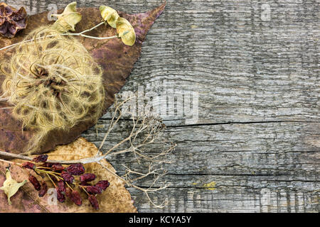 Getrocknete Pflanzen, Blumen und Beeren, gefallenen gelbe Blätter auf rustikalen hölzernen Brettern Stockfoto