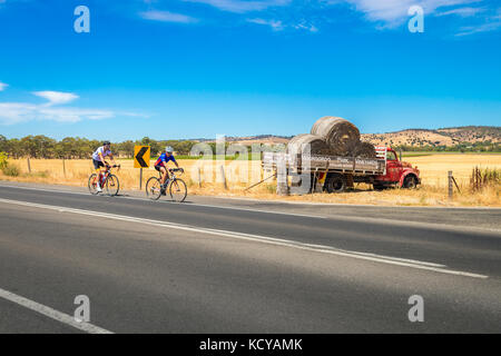 Tanunda, Südaustralien - 16. Januar 2016: Zwei Männer fahren mit dem Fahrrad entlang der malerischen Straße im Barossa Valley in der Nähe von Moorooroo Park Vineyards Stockfoto